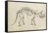 Dinosaur Study II-Ethan Harper-Framed Stretched Canvas