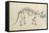 Dinosaur Study II-Ethan Harper-Framed Stretched Canvas