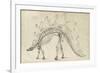 Dinosaur Study III-Ethan Harper-Framed Art Print