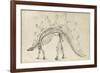 Dinosaur Study III-Ethan Harper-Framed Art Print