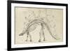 Dinosaur Study III-Ethan Harper-Framed Art Print