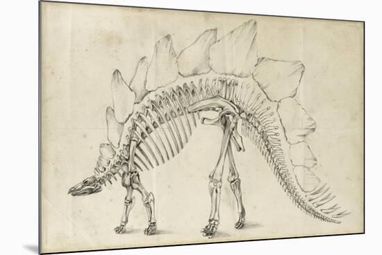 Dinosaur Study III-Ethan Harper-Mounted Art Print