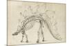 Dinosaur Study III-Ethan Harper-Mounted Art Print