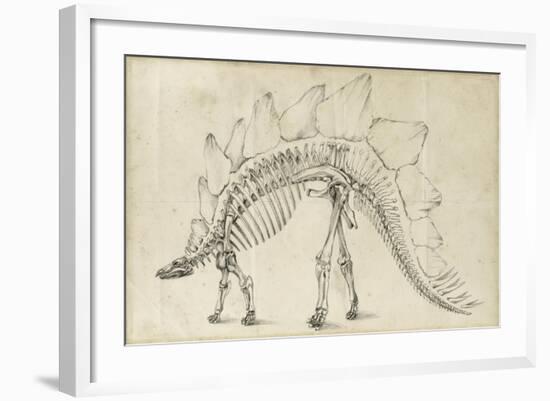 Dinosaur Study III-Ethan Harper-Framed Art Print