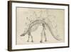 Dinosaur Study III-Ethan Harper-Framed Art Print