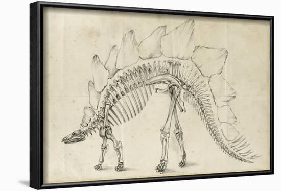 Dinosaur Study III-Ethan Harper-Framed Art Print