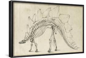 Dinosaur Study III-Ethan Harper-Framed Art Print