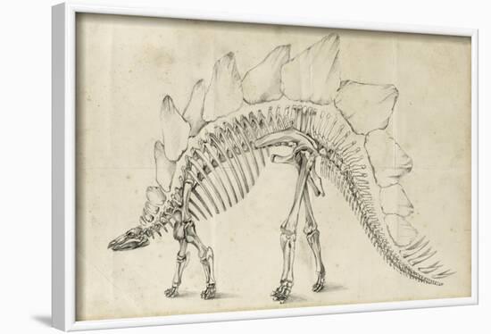 Dinosaur Study III-Ethan Harper-Framed Art Print