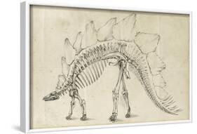 Dinosaur Study III-Ethan Harper-Framed Art Print