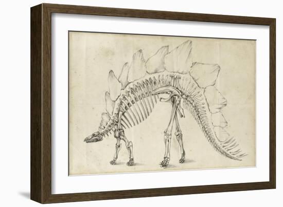 Dinosaur Study III-Ethan Harper-Framed Art Print