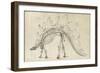 Dinosaur Study III-Ethan Harper-Framed Art Print