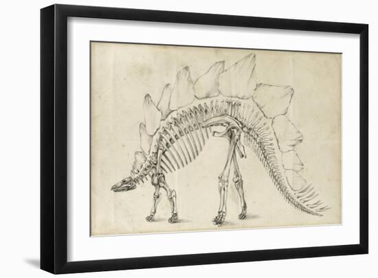 Dinosaur Study III-Ethan Harper-Framed Art Print