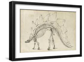 Dinosaur Study III-Ethan Harper-Framed Art Print