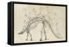 Dinosaur Study III-Ethan Harper-Framed Stretched Canvas