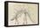 Dinosaur Study III-Ethan Harper-Framed Stretched Canvas