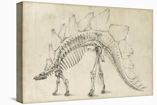 Dinosaur Study III-Ethan Harper-Stretched Canvas