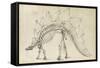 Dinosaur Study III-Ethan Harper-Framed Stretched Canvas