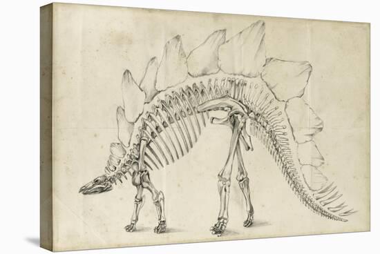 Dinosaur Study III-Ethan Harper-Stretched Canvas