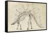 Dinosaur Study III-Ethan Harper-Framed Stretched Canvas