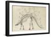 Dinosaur Study III-Ethan Harper-Framed Premium Giclee Print