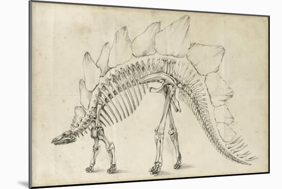 Dinosaur Study III-Ethan Harper-Mounted Premium Giclee Print