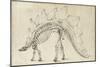 Dinosaur Study III-Ethan Harper-Mounted Premium Giclee Print