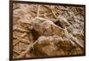 Dinosaur Tracks at Dinosaur Discovery, Johnson Farm, St. George, Utah-Michael DeFreitas-Framed Photographic Print