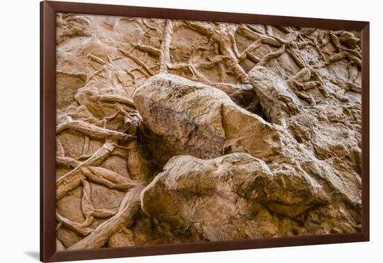 Dinosaur Tracks at Dinosaur Discovery, Johnson Farm, St. George, Utah-Michael DeFreitas-Framed Photographic Print