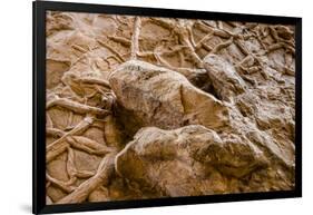 Dinosaur Tracks at Dinosaur Discovery, Johnson Farm, St. George, Utah-Michael DeFreitas-Framed Photographic Print