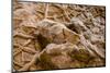 Dinosaur Tracks at Dinosaur Discovery, Johnson Farm, St. George, Utah-Michael DeFreitas-Mounted Photographic Print