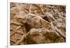 Dinosaur Tracks at Dinosaur Discovery, Johnson Farm, St. George, Utah-Michael DeFreitas-Framed Premium Photographic Print