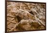 Dinosaur Tracks at Dinosaur Discovery, Johnson Farm, St. George, Utah-Michael DeFreitas-Framed Premium Photographic Print