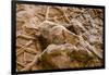 Dinosaur Tracks at Dinosaur Discovery, Johnson Farm, St. George, Utah-Michael DeFreitas-Framed Premium Photographic Print