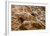 Dinosaur Tracks at Dinosaur Discovery, Johnson Farm, St. George, Utah-Michael DeFreitas-Framed Photographic Print