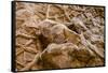 Dinosaur Tracks at Dinosaur Discovery, Johnson Farm, St. George, Utah-Michael DeFreitas-Framed Stretched Canvas