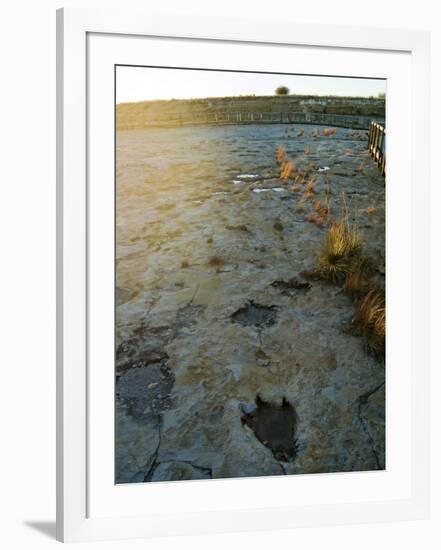 Dinosaur Tracks, Clayton Lake State Park, New Mexico, USA-Ethel Davies-Framed Photographic Print