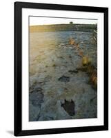 Dinosaur Tracks, Clayton Lake State Park, New Mexico, USA-Ethel Davies-Framed Photographic Print