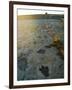 Dinosaur Tracks, Clayton Lake State Park, New Mexico, USA-Ethel Davies-Framed Photographic Print