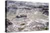 Dinosaur Valley, Drumheller, Alberta, Canada, North America-Philip Craven-Stretched Canvas