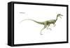 Dinosaur-Encyclopaedia Britannica-Framed Stretched Canvas