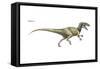 Dinosaur-Encyclopaedia Britannica-Framed Stretched Canvas