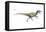 Dinosaur-Encyclopaedia Britannica-Framed Stretched Canvas