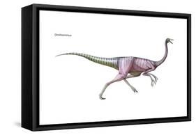 Dinosaur-Encyclopaedia Britannica-Framed Stretched Canvas