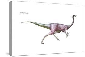 Dinosaur-Encyclopaedia Britannica-Stretched Canvas