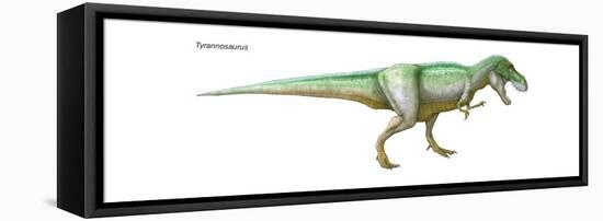 Dinosaur-Encyclopaedia Britannica-Framed Stretched Canvas