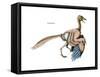 Dinosaur-Encyclopaedia Britannica-Framed Stretched Canvas