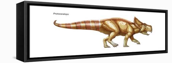 Dinosaur-Encyclopaedia Britannica-Framed Stretched Canvas