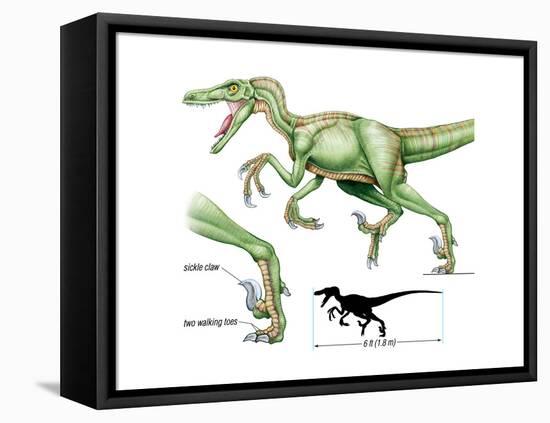 Dinosaur-Encyclopaedia Britannica-Framed Stretched Canvas