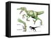 Dinosaur-Encyclopaedia Britannica-Framed Stretched Canvas