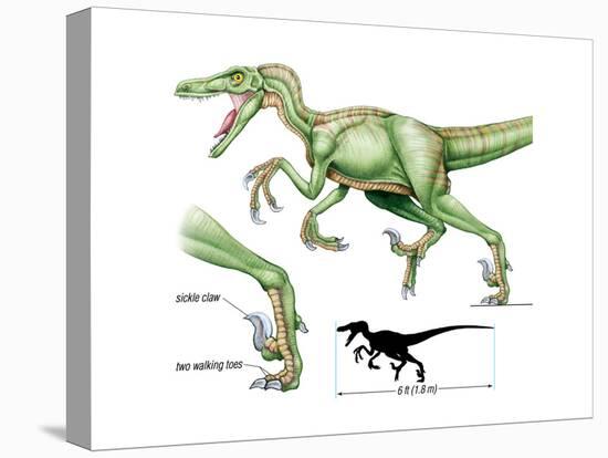 Dinosaur-Encyclopaedia Britannica-Stretched Canvas